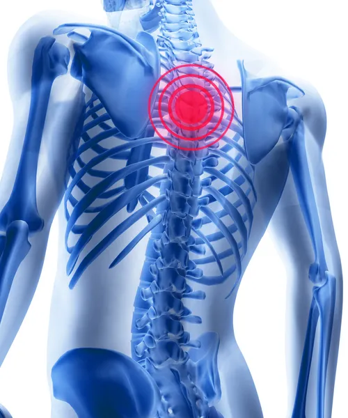 Scheletro dell'uomo con i centri di un dolore di una spina dorsale — Foto Stock