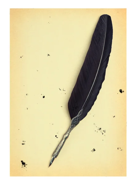 Πένα φτερό σε ένα παλιό χαρτί — Φωτογραφία Αρχείου