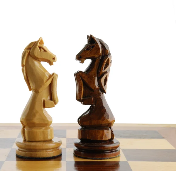 Two chess horse — Stock Photo, Image