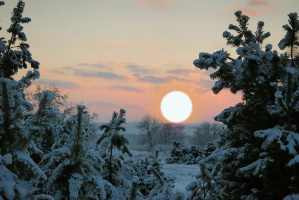 Winter sunset — Stock Photo, Image