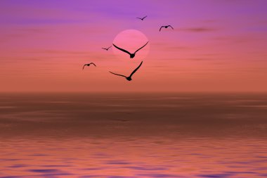Albatross on a sunset clipart