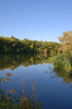 sonbahar Nehri