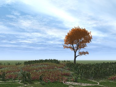 sonbahar ağaç tek başına
