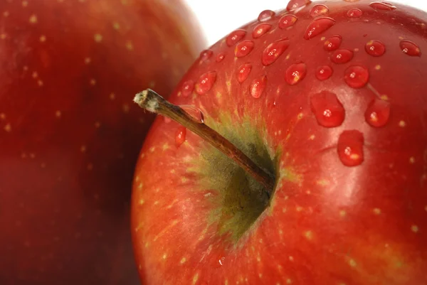 Яблоко и свежие капли — стоковое фото