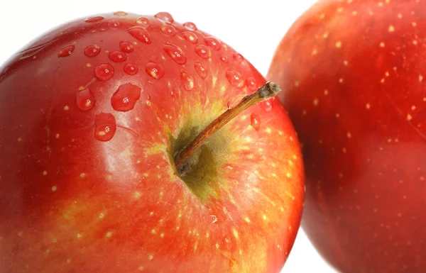 Яблоко и свежие капли — стоковое фото