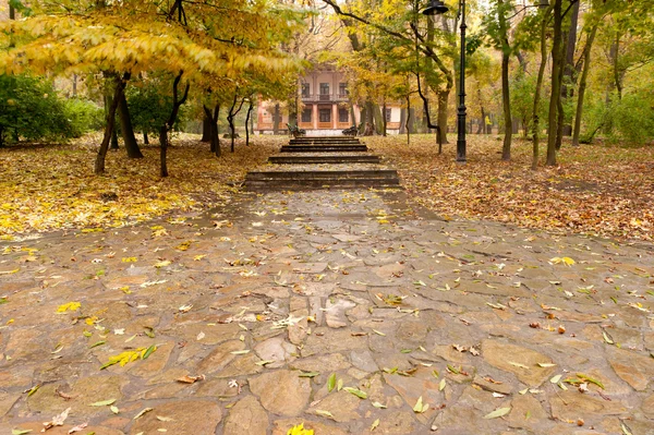 Осенний парк с тропинкой к зданию — стоковое фото