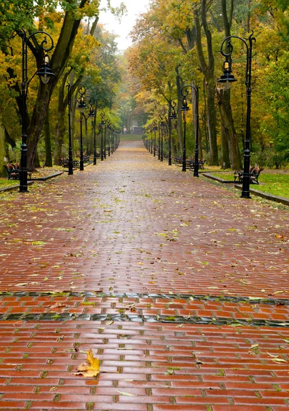Alleyway sonbahar Park asfalt yol ile — Stok fotoğraf