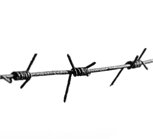 Barbed wire isolated — Stock Photo, Image