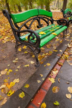 sonbahar park. Yağmurlu hava