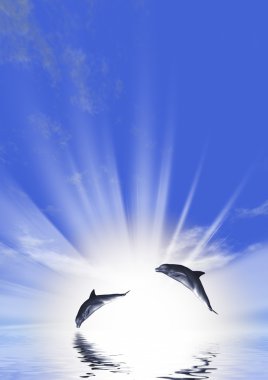 Dolphin and sunrise clipart