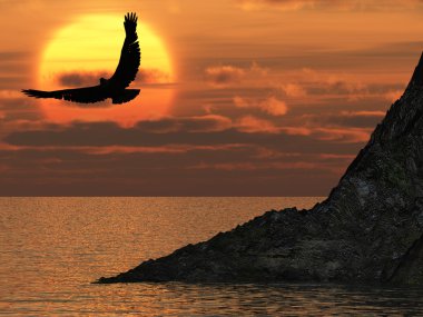 Eagle and fantastic sunset clipart