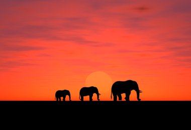 Elephants on a sundown clipart