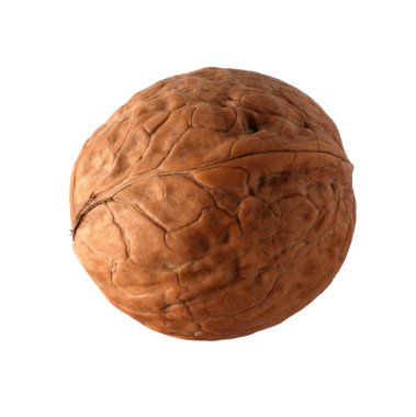 Isolated walnut clipart