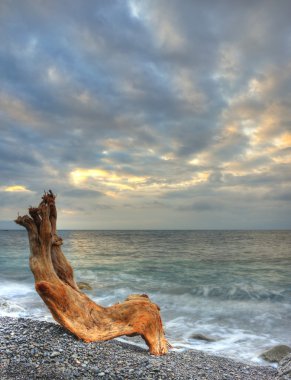 gece deniz ve kereste