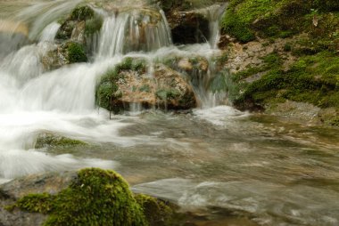 Dağ nehri