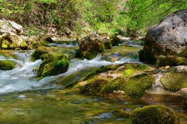 Dağ nehri