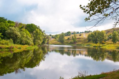 Picturesque forest and the river clipart