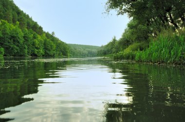 Picturesque forest and the river clipart