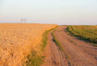 kırsal yol