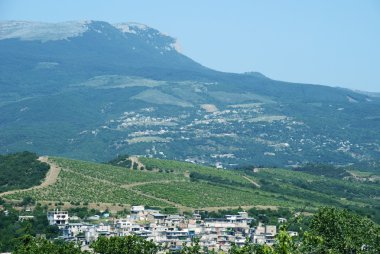 yerleşim ve üzüm bağları