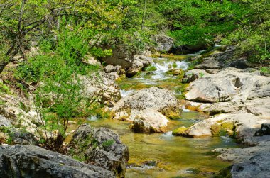 Dağ nehri