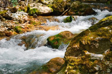 Dağ nehri