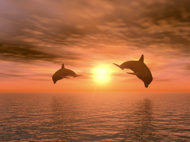 Two dolphin clipart