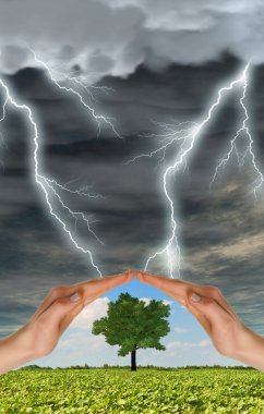 Two hands preserve a green tree against a thunder-storm clipart