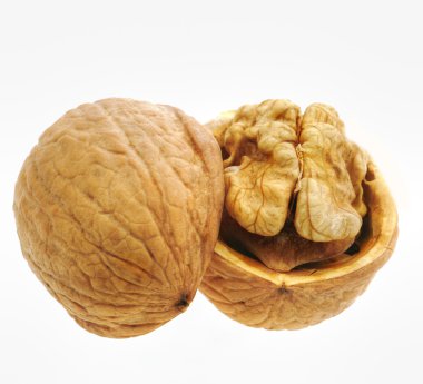 Walnut isolated and open clipart