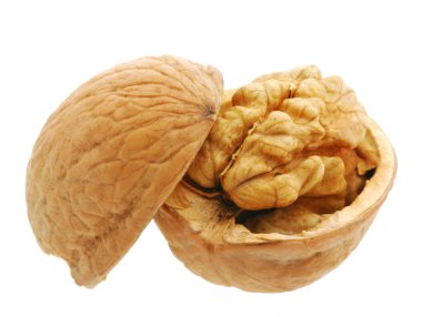 Walnut open clipart