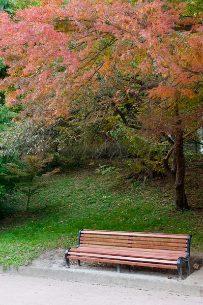 Осенний парк. Дождливая погода — стоковое фото