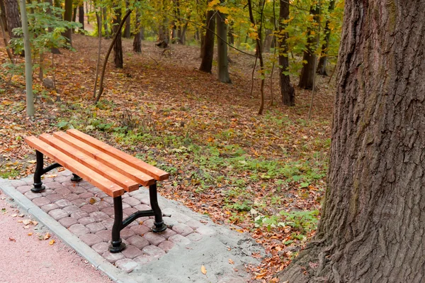 Осенний парк. Дождливая погода — стоковое фото