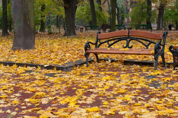 Parque de otoño. Clima lluvioso — Foto de Stock