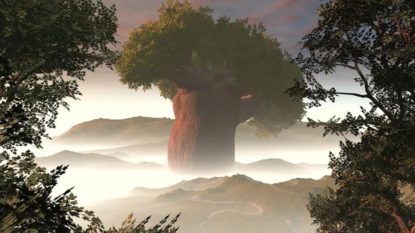 Μεγάλο δέντρο στην ομίχλη — Φωτογραφία Αρχείου