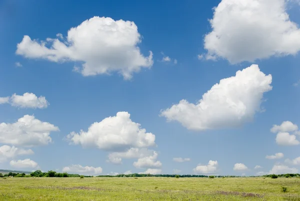 Blå himmel och fält — Stockfoto