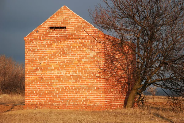 Brick building and dry tree — Stock Photo, Image