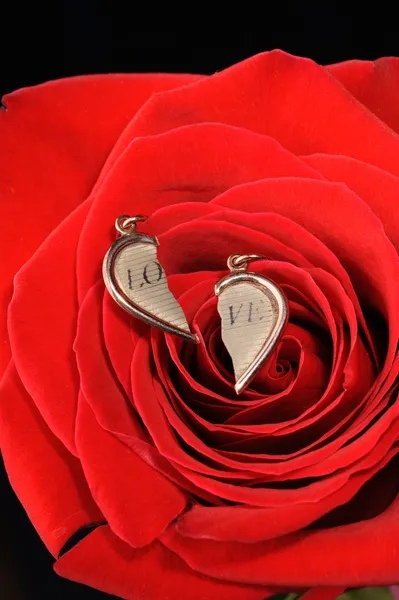 Gouden hart gebroken in een rode roos — Stockfoto