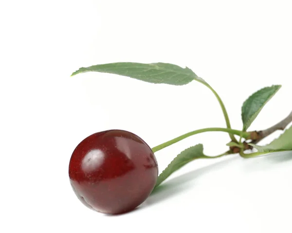 Cherry isolerade — Stockfoto
