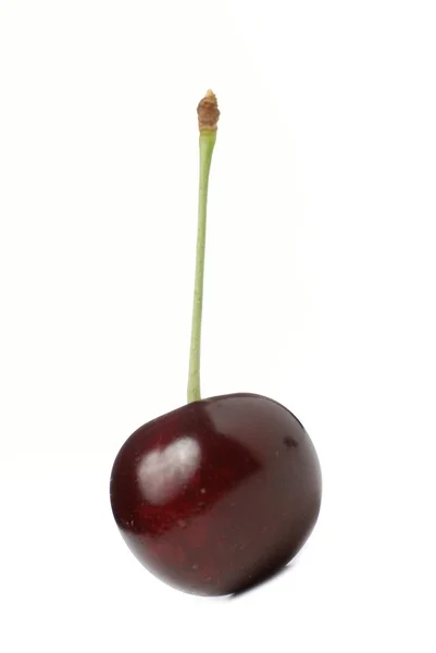 Cherry met schaduw — Stockfoto