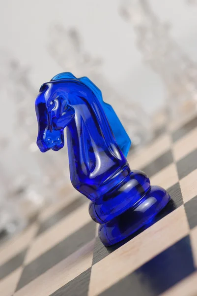 stock image Chess horse