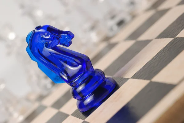 체스 말 — 스톡 사진