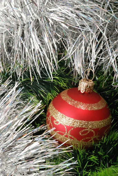 圣诞背景与毛皮树 — 图库照片