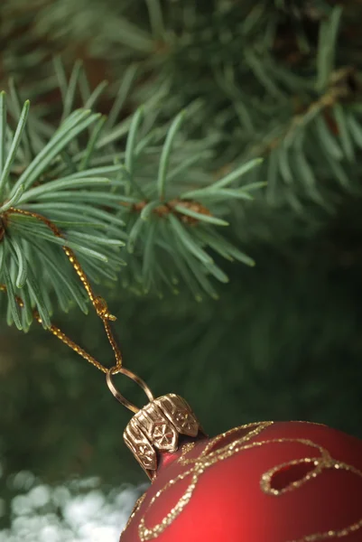 Boże Narodzenie zabawki na gałęzi drzewa-futro — Zdjęcie stockowe