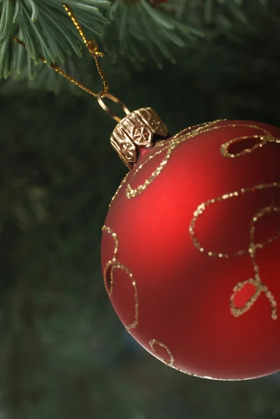 毛皮ツリーの分岐でクリスマス グッズ — ストック写真