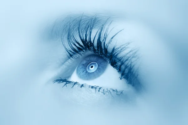 Vrouwelijke oog close-up. — Stockfoto