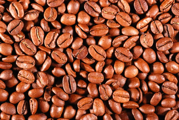 Coffee background. Perfect coffee grains. High detail — Stock Photo, Image