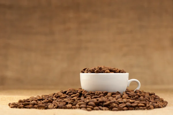 Witte kop met koffie korrels — Stockfoto