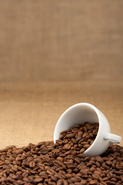 Tasse blanche avec grains de café — Photo