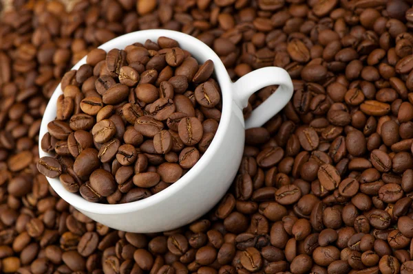 Witte kop met koffie korrels — Stockfoto
