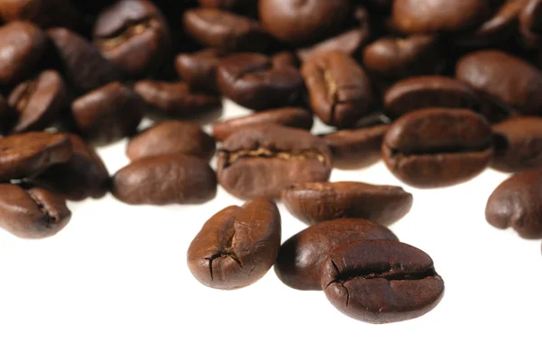 Кофе зерна изолированы — стоковое фото
